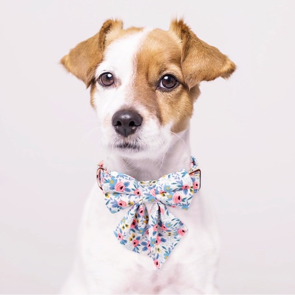 Dog Puppy Bow Floral Adjustable Detachable Collar Bandana Bone Shape Tag S/M NEW - Picture 12 of 16